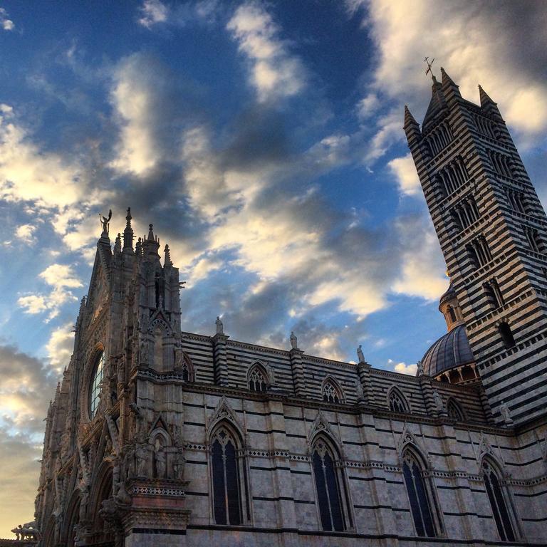 Le Di Livia Siena